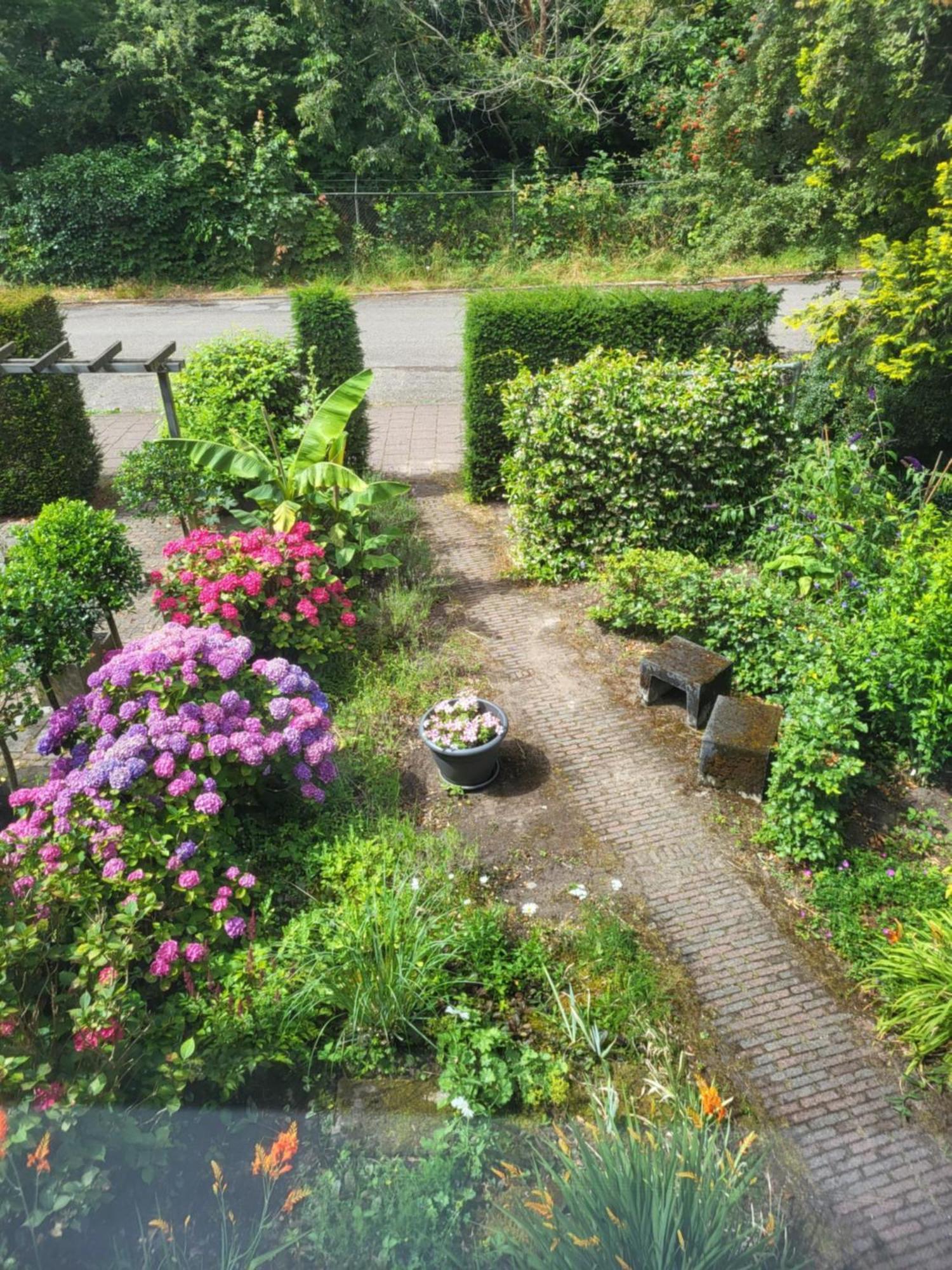 My-A-Mi-Go-S Bed and Breakfast Muiderberg Εξωτερικό φωτογραφία
